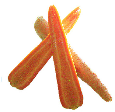 carrot & gibbs bow ties